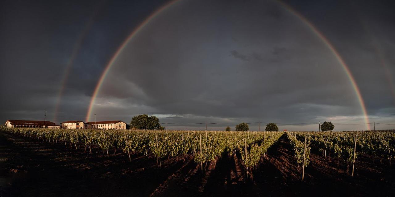 Domeniile Panciu Winery & Resort Sarbi  Exterior photo